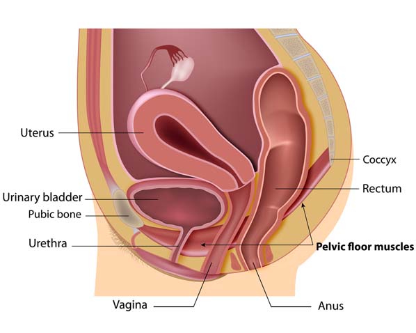 UroGynaecology_SNHospital